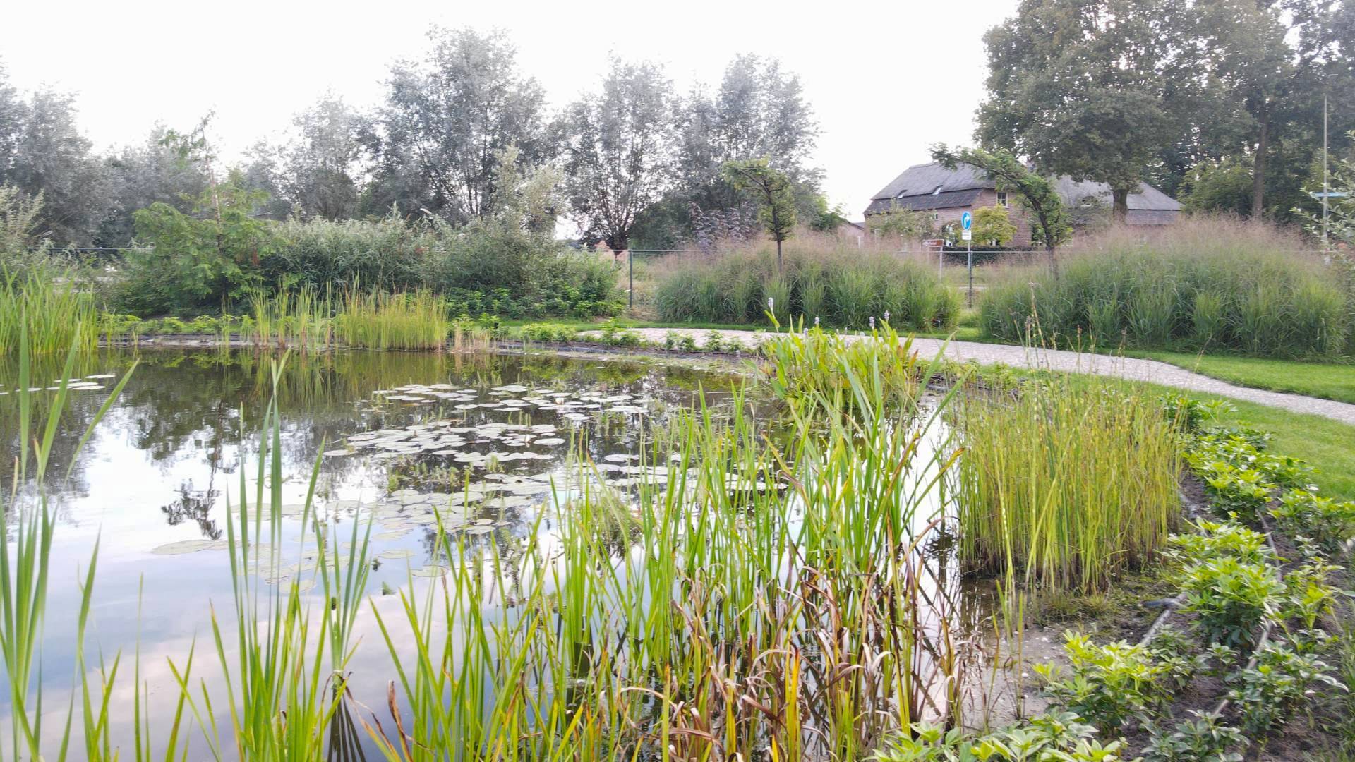 tuin_tuinarchitect_uden_Maashorst_parktuin_Hovenier_tuinontwerp_1 (2) (4) (47) (4)