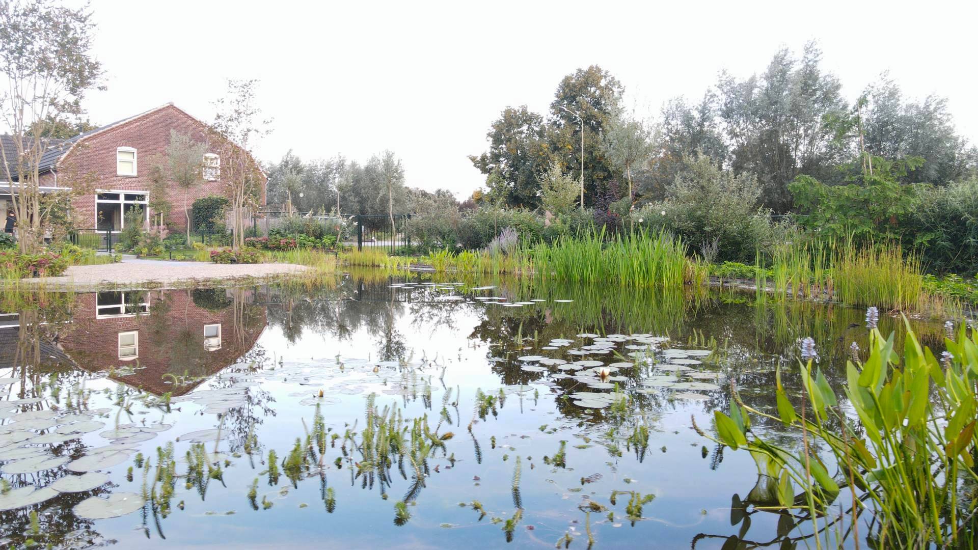 tuin_tuinarchitect_uden_Maashorst_parktuin_Hovenier_tuinontwerp_1 (2) (4) (47) (5)